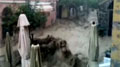 Cinque Terre Floods